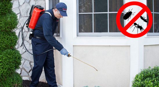 Köprübaşı Haşere İlaçlama böcek ilaçlama ve haşere kontrolü — ilaclama-tr.com